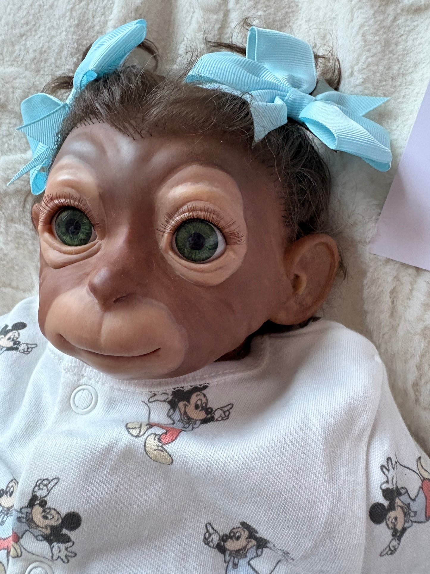 Monkey Baby Reborn Soft Body